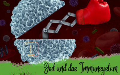 Jod und das Immunsystem