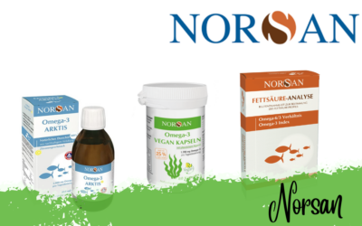 Norsan