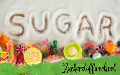 Zuckerstoffwechsel