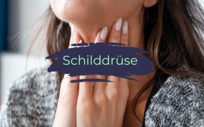 Schilddrüse