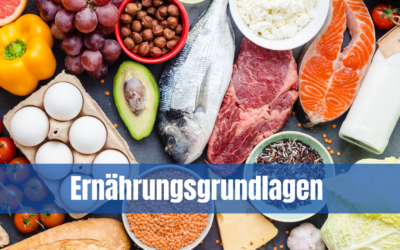 Ernährungsgrundlagen