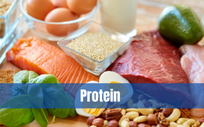 Protein